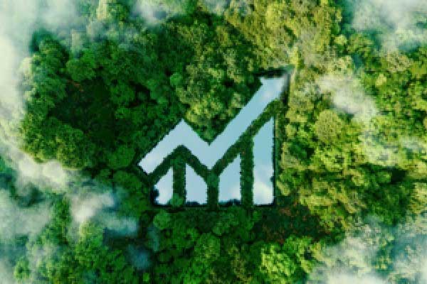 紫金矿业在创纪录的年度利润后 规模堪比全球大宗商品巨头嘉能可